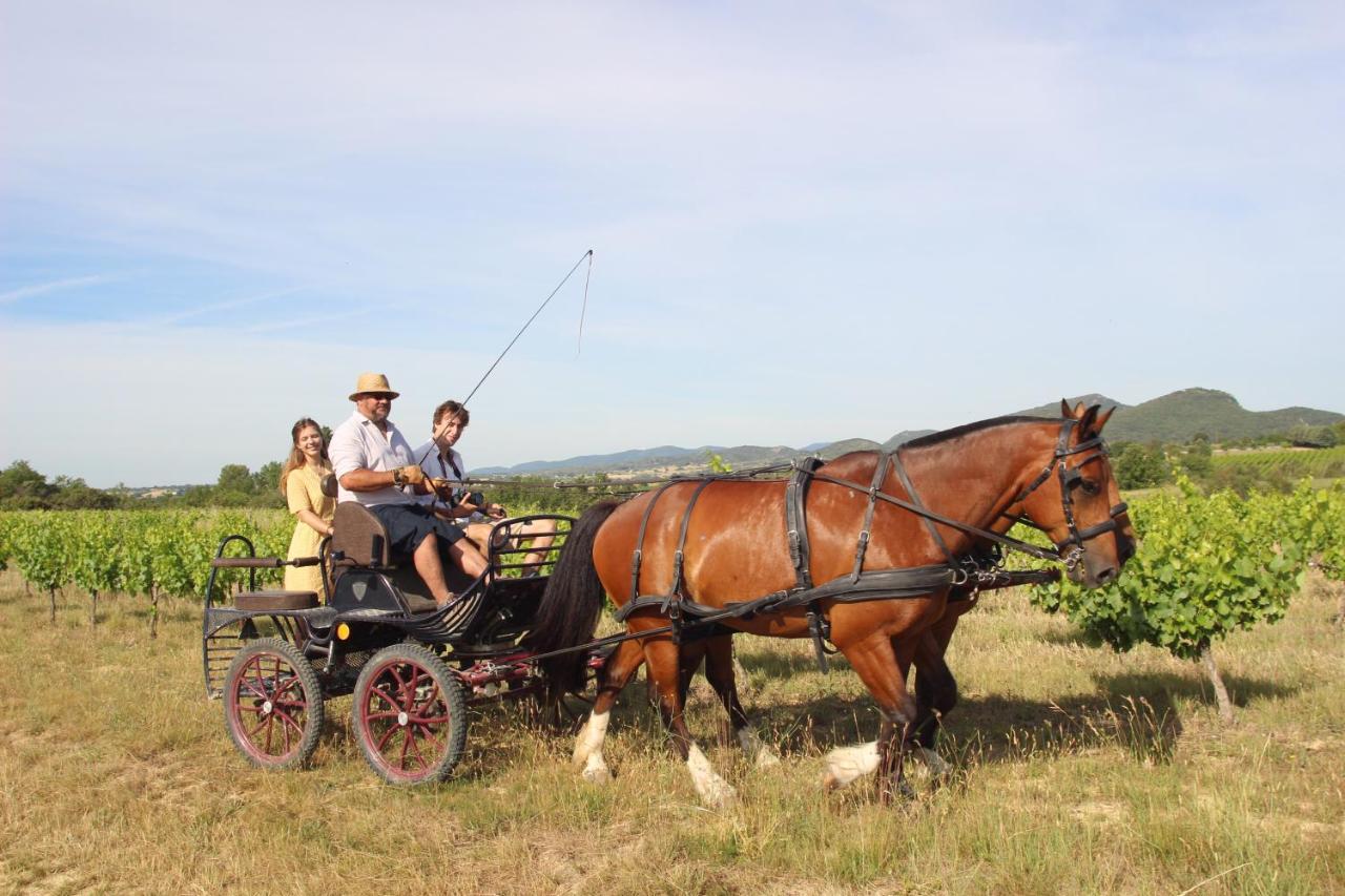 Le Mas De La Coste Saint-Sauveur-de-Cruzière Екстериор снимка